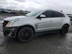 2013 Cadillac SRX Premium Collection