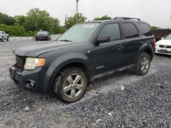 Ford salvage cars for sale: 2008 Ford Escape XLT