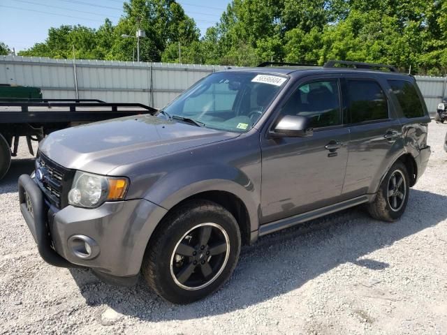 2011 Ford Escape XLT