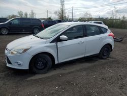 Ford Focus salvage cars for sale: 2012 Ford Focus SE