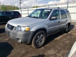 Salvage cars for sale at New Britain, CT auction: 2007 Ford Escape XLT