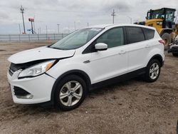 Salvage cars for sale at Greenwood, NE auction: 2016 Ford Escape SE