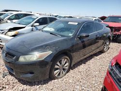 Salvage cars for sale from Copart Phoenix, AZ: 2010 Honda Accord EXL