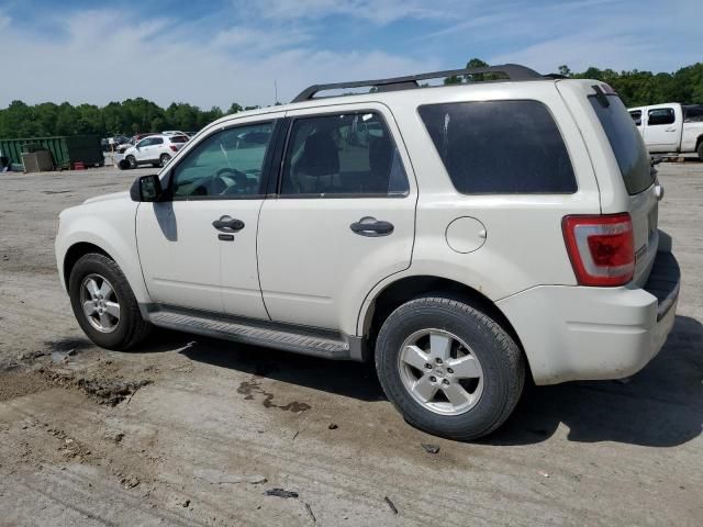 2011 Ford Escape XLT