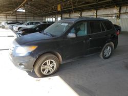 Salvage cars for sale at Phoenix, AZ auction: 2012 Hyundai Santa FE GLS