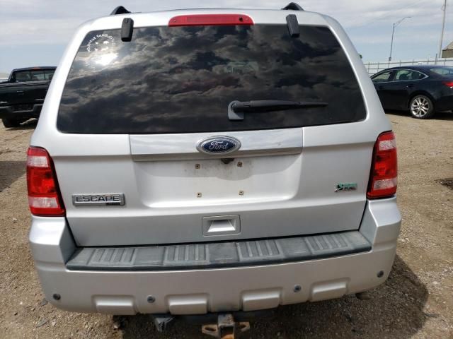 2010 Ford Escape Limited