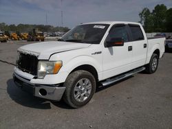 Salvage cars for sale from Copart Dunn, NC: 2010 Ford F150 Supercrew