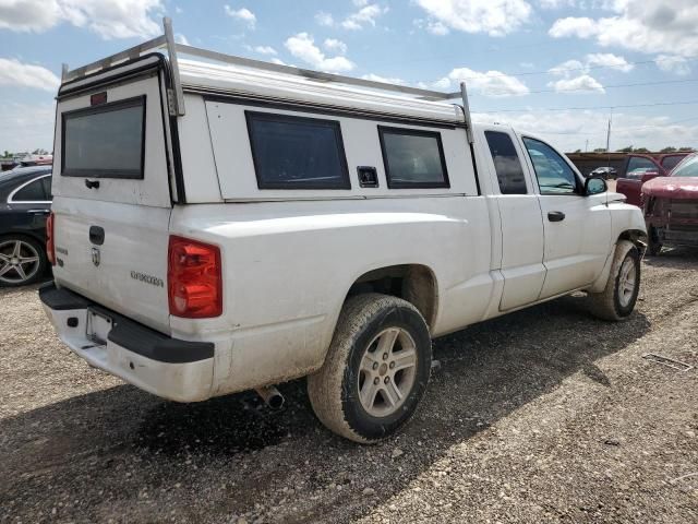 2011 Dodge Dakota SLT