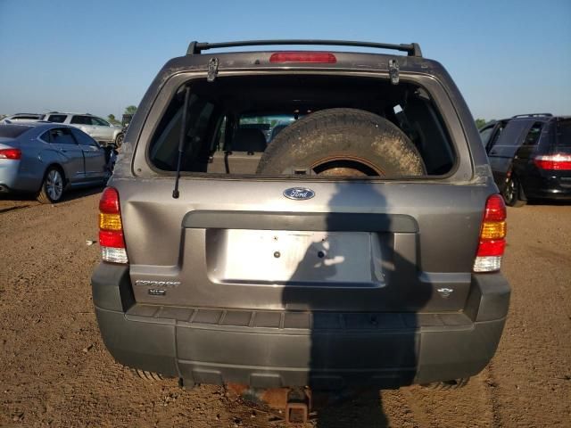 2006 Ford Escape XLT