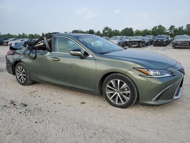 2019 Lexus ES 350