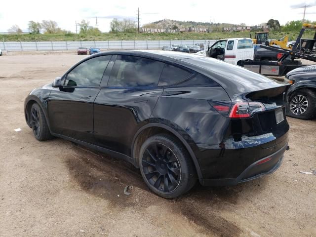 2020 Tesla Model Y