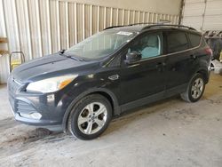 Salvage cars for sale at Abilene, TX auction: 2013 Ford Escape SE