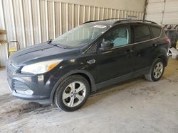 Ford Escape se Vehiculos salvage en venta: 2013 Ford Escape SE