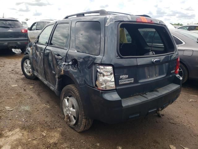 2009 Ford Escape XLT