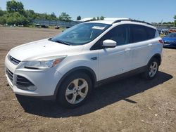 Salvage cars for sale at Columbia Station, OH auction: 2014 Ford Escape SE