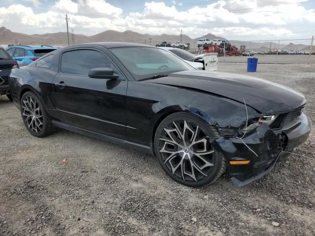 2010 Ford Mustang