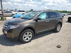 Salvage cars for sale at Indianapolis, IN auction: 2011 Ford Edge SEL