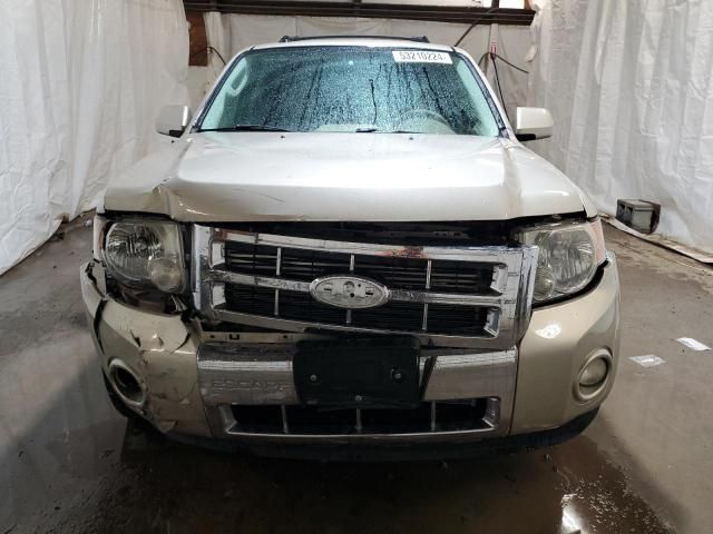 2011 Ford Escape Limited