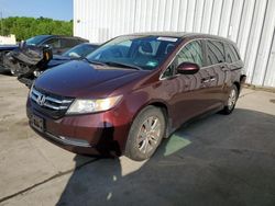 Salvage cars for sale at Windsor, NJ auction: 2014 Honda Odyssey EXL