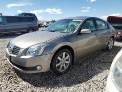 Salvage cars for sale at Magna, UT auction: 2006 Nissan Maxima SE