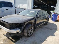 Salvage cars for sale at Montgomery, AL auction: 2023 Honda Accord EX