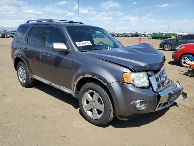 2009 Ford Escape Limited