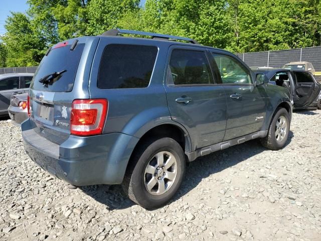 2010 Ford Escape Hybrid