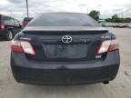 2009 Toyota Camry Hybrid