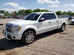 Salvage cars for sale at Chalfont, PA auction: 2010 Ford F150 Supercrew