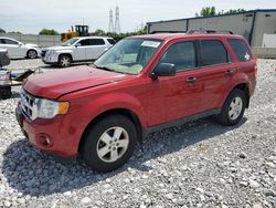 Salvage cars for sale at Barberton, OH auction: 2011 Ford Escape XLT