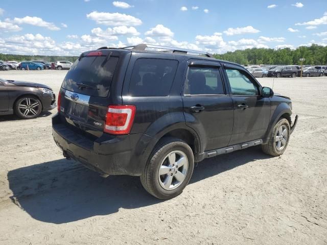 2009 Ford Escape Limited