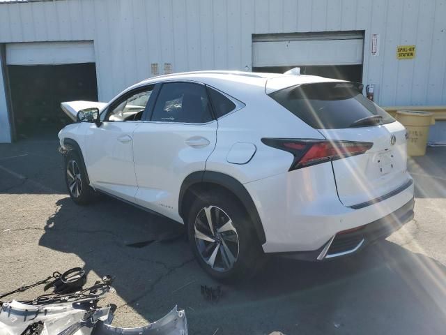 2019 Lexus NX 300H