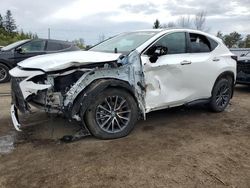 Salvage cars for sale at Bowmanville, ON auction: 2024 Lexus NX 350H Base