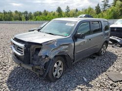 Honda salvage cars for sale: 2013 Honda Pilot EX