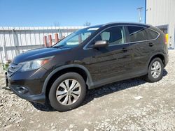 Vehiculos salvage en venta de Copart Appleton, WI: 2013 Honda CR-V EXL