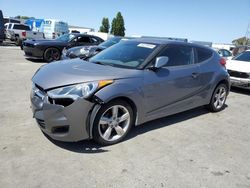 Salvage cars for sale from Copart Hayward, CA: 2013 Hyundai Veloster