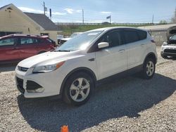 Ford salvage cars for sale: 2014 Ford Escape SE