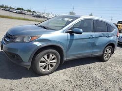 Honda cr-v exl salvage cars for sale: 2014 Honda CR-V EXL