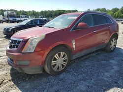 Cadillac srx Luxury Collection salvage cars for sale: 2010 Cadillac SRX Luxury Collection