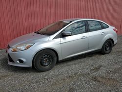 Salvage cars for sale at London, ON auction: 2014 Ford Focus SE