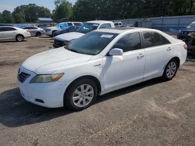 2009 Toyota Camry Hybrid