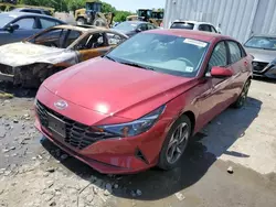 Hyundai Elantra sel Vehiculos salvage en venta: 2023 Hyundai Elantra SEL