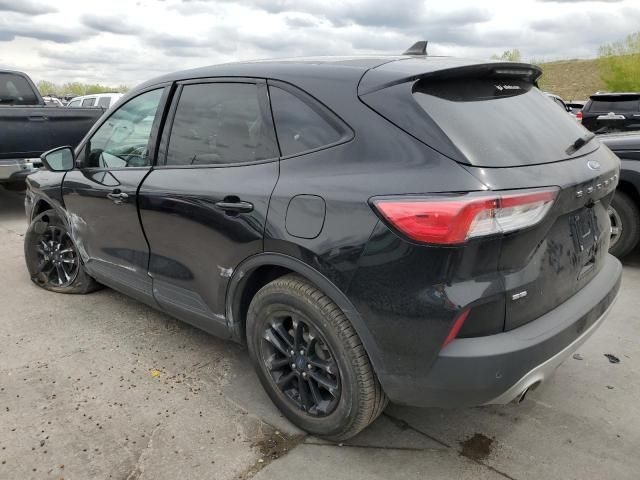 2020 Ford Escape SE Sport