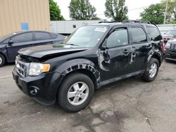 Salvage cars for sale from Copart Moraine, OH: 2012 Ford Escape XLT