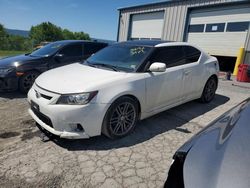 Salvage cars for sale at Chambersburg, PA auction: 2013 Scion TC