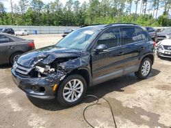 Salvage cars for sale from Copart Harleyville, SC: 2017 Volkswagen Tiguan S