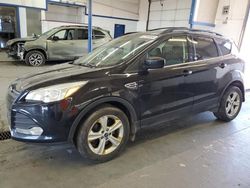 Salvage cars for sale from Copart Pasco, WA: 2013 Ford Escape SE