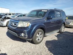 Vehiculos salvage en venta de Copart Tucson, AZ: 2009 Honda Pilot EXL