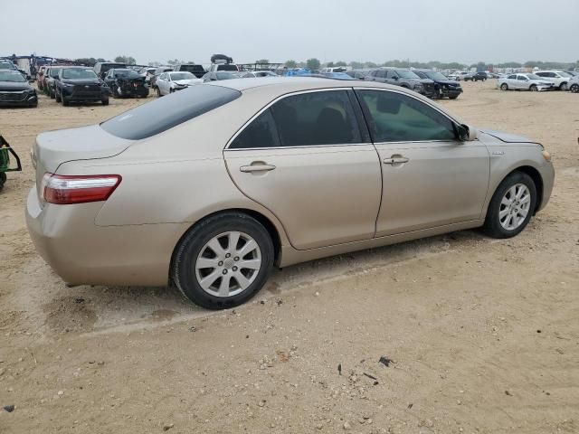 2009 Toyota Camry Hybrid