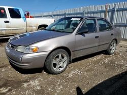 Salvage cars for sale at Nisku, AB auction: 1999 Toyota Corolla VE